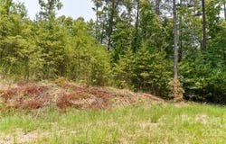 The Vines Boulevard lot: 4, Marshall, NC 28753