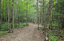 7 Poradish Rd, Birchwood, WI 54835