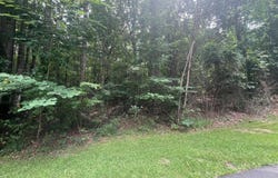 Lot 48 Turtle Ln, Dadeville, AL 36853