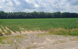 VL W Birch Run, Burt, MI 48614