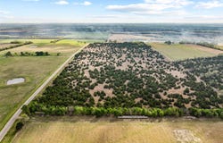 TBD Lot 1 FM 128, Cooper, TX 75432