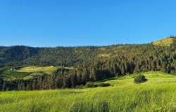 Tbd Arabian Lane Lots 2,4,5, Lenore, ID 83541