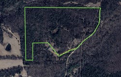 Peter Martin Hill Rd, Cave City, AR 72521