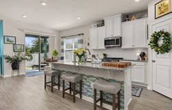 367 AUGUST FERN LOOP, MOUNT DORA, FL 32757