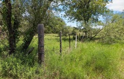 000 CR 539, Hico, TX 76457