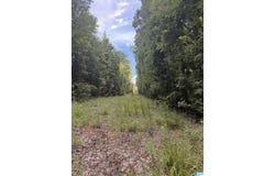 0 COUNTY ROAD 228, MAPLESVILLE, AL 36750