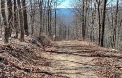 Tract 5 KESSEL ROAD, GREAT CACAPON, WV 25422