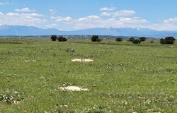 Turkey Ridge E, Walsenburg, CO 81089