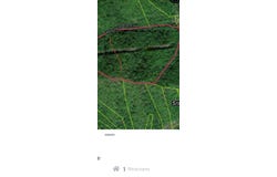 0 Maynard Branch, Burnwell, KY 41514