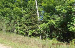 251 KLEEHAMMER CLUB DRIVE, KALKASKA, MI 49646