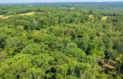 Tract 1 Harmony Mountain Road, Clinton, AR 72031