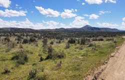 Bitterroot St / Franklin Ave, Elko, NV 89801
