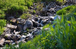 10256 N Basin Canyon Road, Park City, UT 84098