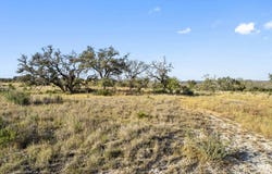 Tbd Lot Axis Cir, Fredericksburg, TX 78624