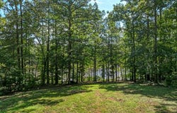 Birdsong Rd lot: 22, Ebony, VA 23845