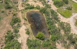 Tbd 17.5 Acres FM 2131, Coleman, TX 76834