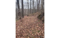 0 Charlie Wood Road, Delhi, NY 13752