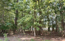 2206 Nelson Street, New Bern, NC 28562
