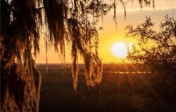 376 Major Wright Road, St Simons Island, GA 31522