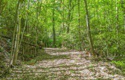 Lakeview Drive, Tryon, NC 28782