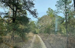 SW 152nd Avenue lot: 9, Ocala, FL 34481