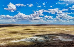 Tbd COUNTY ROAD N7012 40 ACRES, Chambers, AZ 86502