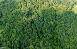 Tbd Dryfork Road, North Tazewell, VA 24630