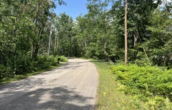 4649 Wah Wah Soo Drive, Gaylord, MI 49735