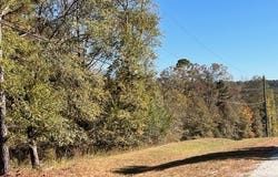 Etchison Spur, Loganville, GA 30052