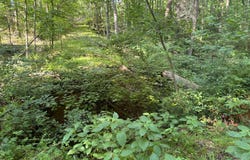 17012 PRINCE FREDERICK ROAD, HUGHESVILLE, MD 20637