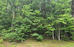 LOT #81 CASTLE DRIVE, MONTROSS, VA 22520