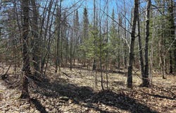 xxx Stark Rd, Cloquet, MN 55720
