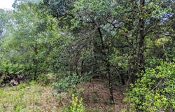 5572 DEERLODGE Court, Keystone Heights, FL 32656
