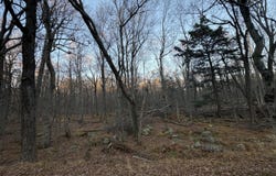 27 Spring Court, Newfoundland, PA 18445