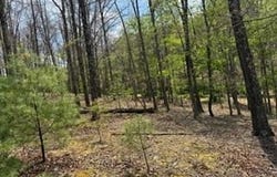EASTER RIDGE Lane, WINCHESTER, VA 22603