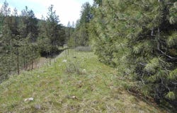 93 Murphy Rd, Kettle Falls, WA 99141