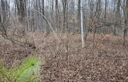On LAKE WINTER RD, Winter, WI 54896