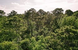 4823 Sharon Drive, Evans, GA 30809