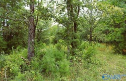 3 Acres County Road 198, Danville, AL 35619