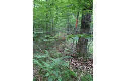 Summit Woods Lane, Gleason, WI 54435
