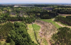 Lot 1 Chicago Avenue, Arkdale, WI 54613