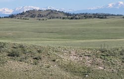 CO