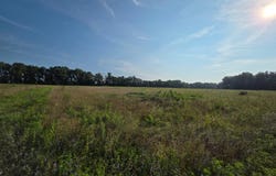 0 Willow Road, Bennington, IN 47011