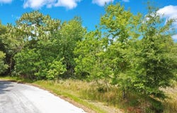 BAHIA RD, OCALA, FL 34472
