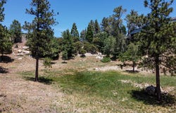 0 Halifax Drive, Lake Arrowhead, CA 92352