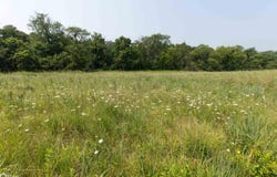 Tbd Pin Oaks Lane, Mount Pleasant, IA 52641