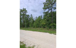 Lot 7 CRABAPPLE ROAD, WEEKI WACHEE, FL 34614