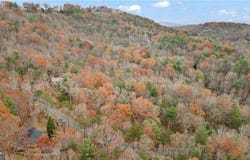 00 Oceola, Ellijay, GA 30540