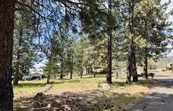 Glover St, Goldendale, WA 98620