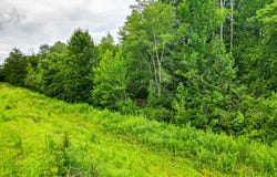 Prince Edward Highway, Rice, VA 23966